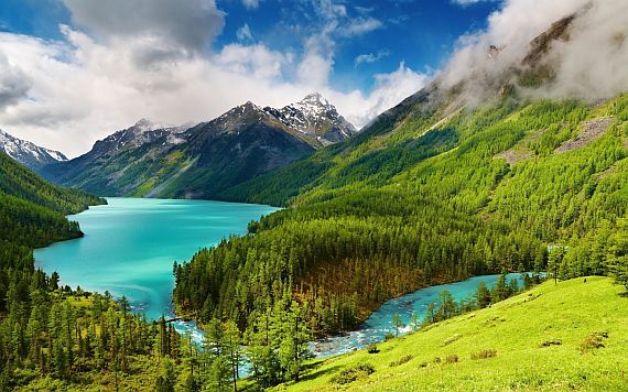 Природа уникального Алтайского Края